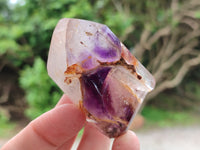 Polished Smokey Window Amethyst Quartz Crystals x 24 From Akansobe, Madagascar