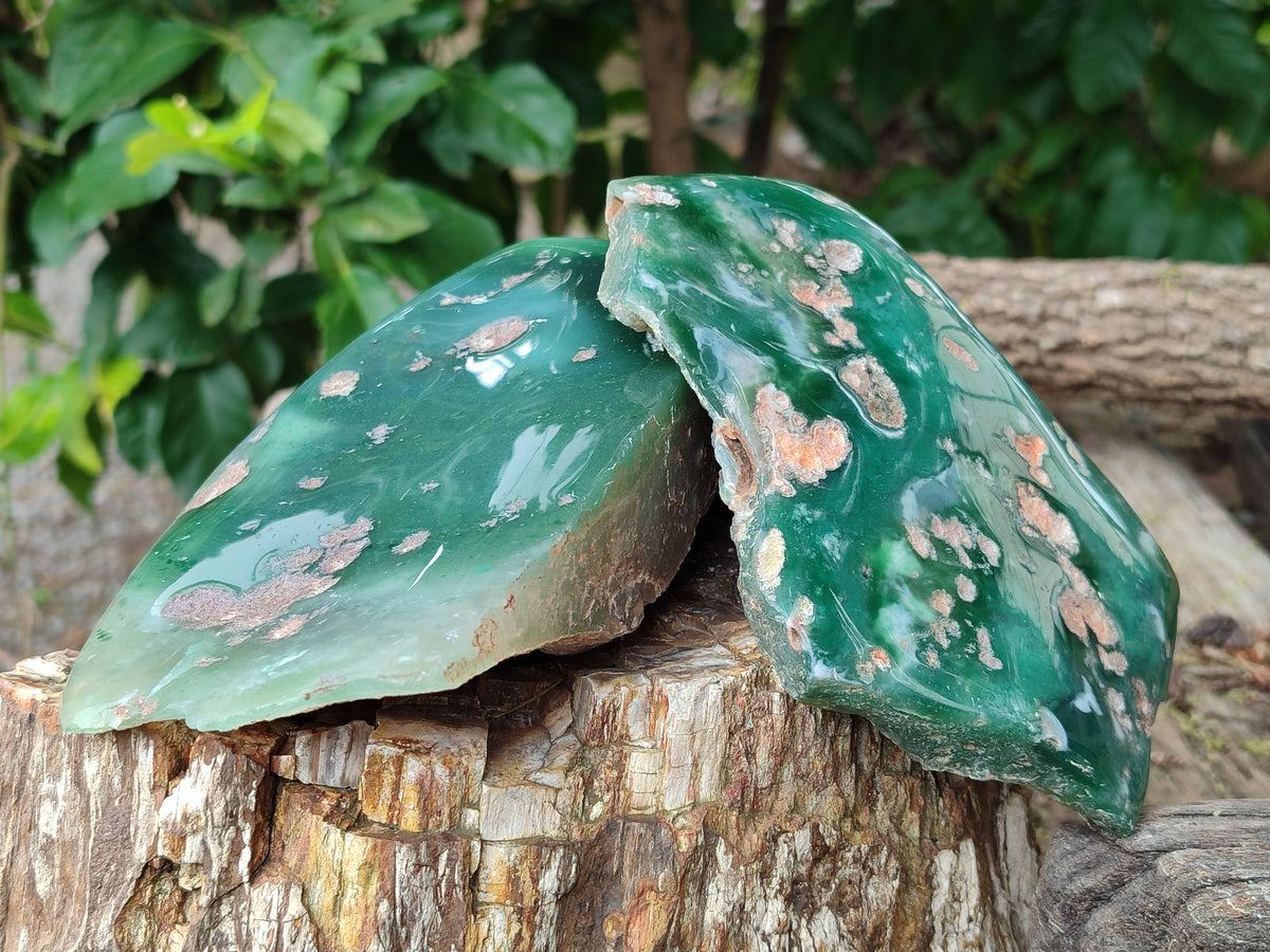 Polished On One Side Emerald Mtorolite Plates x 3 From Mutorashanga, Zimbabwe - Toprock Gemstones and Minerals 