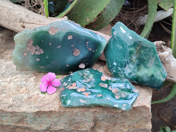 Polished On One Side Emerald Mtorolite Plates x 3 From Mutorashanga, Zimbabwe