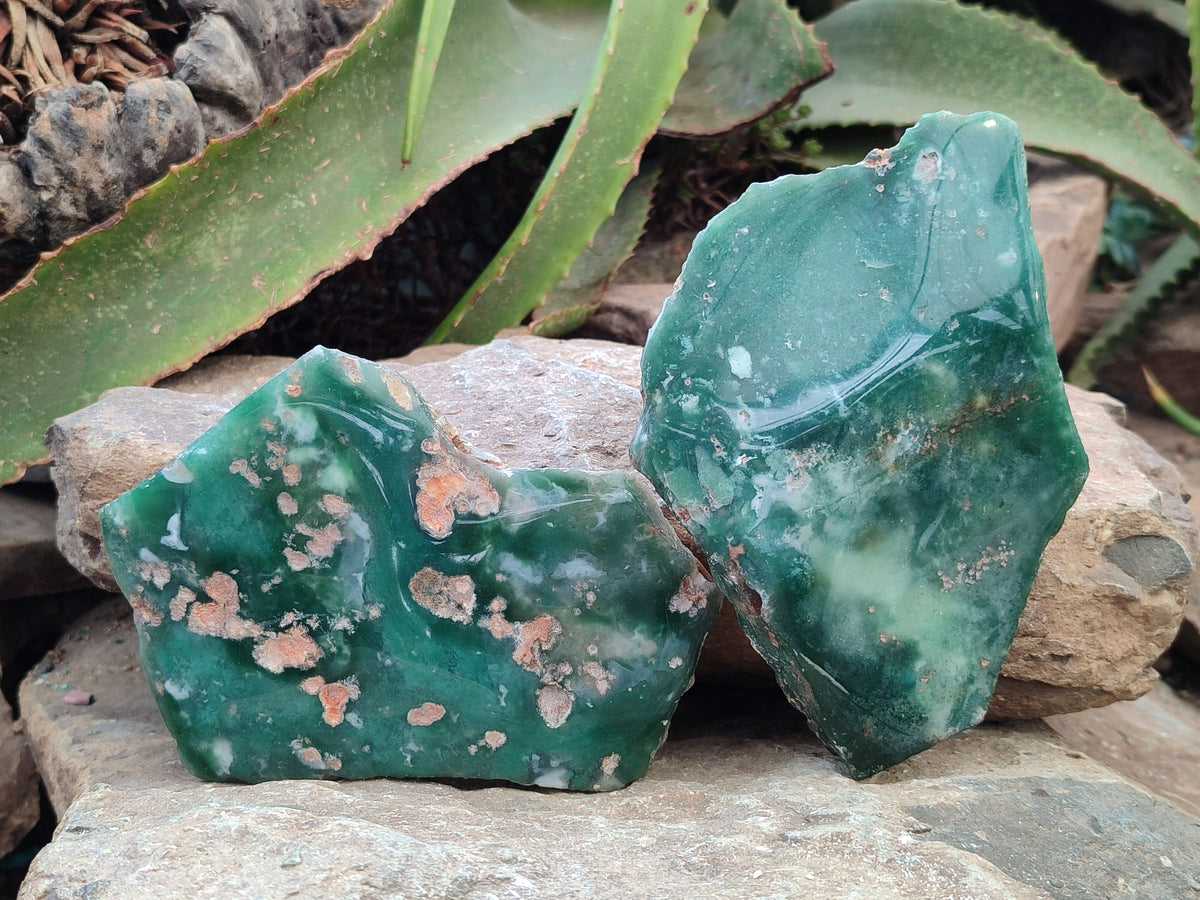 Polished On One Side Emerald Mtorolite Plates x 3 From Mutorashanga, Zimbabwe - Toprock Gemstones and Minerals 