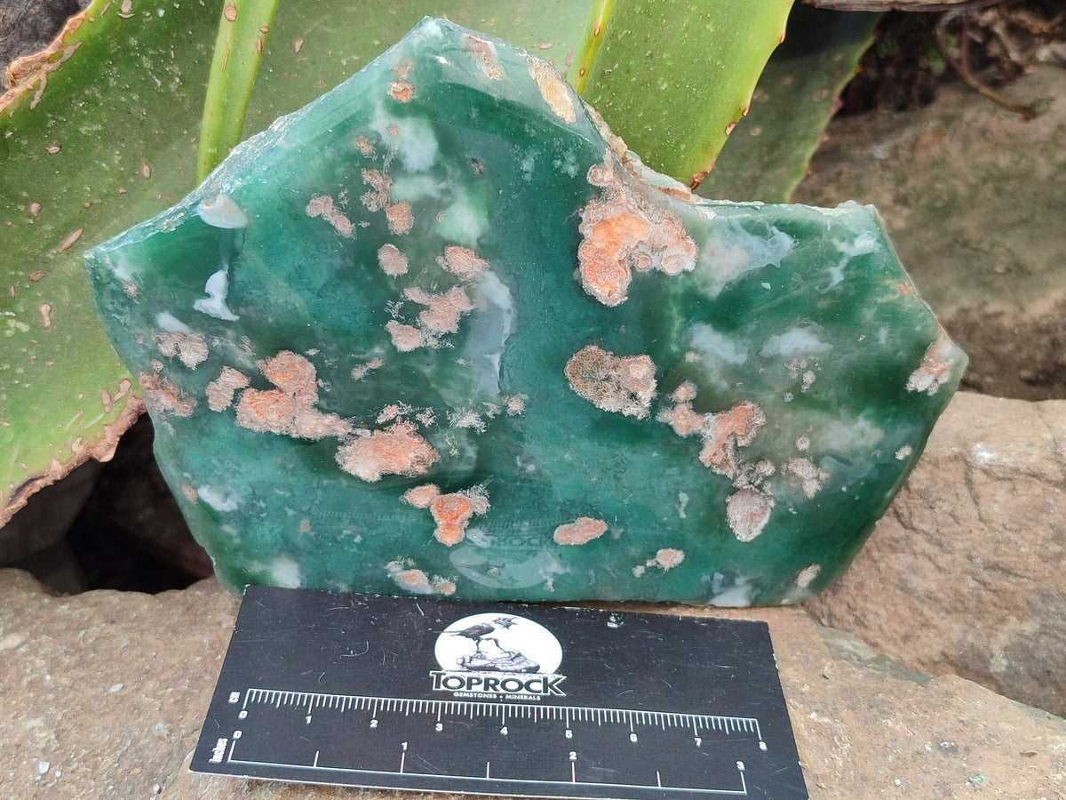Polished On One Side Emerald Mtorolite Plates x 3 From Mutorashanga, Zimbabwe - Toprock Gemstones and Minerals 