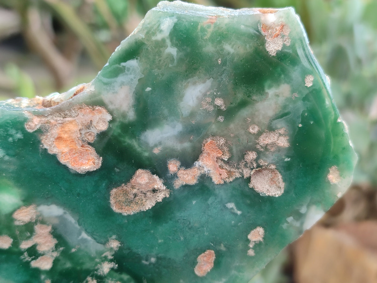 Polished On One Side Emerald Mtorolite Plates x 3 From Mutorashanga, Zimbabwe - Toprock Gemstones and Minerals 