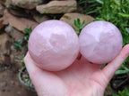 Polished Rose Quartz Spheres x 4 From Ambatondrazaka, Madagascar - Toprock Gemstones and Minerals 