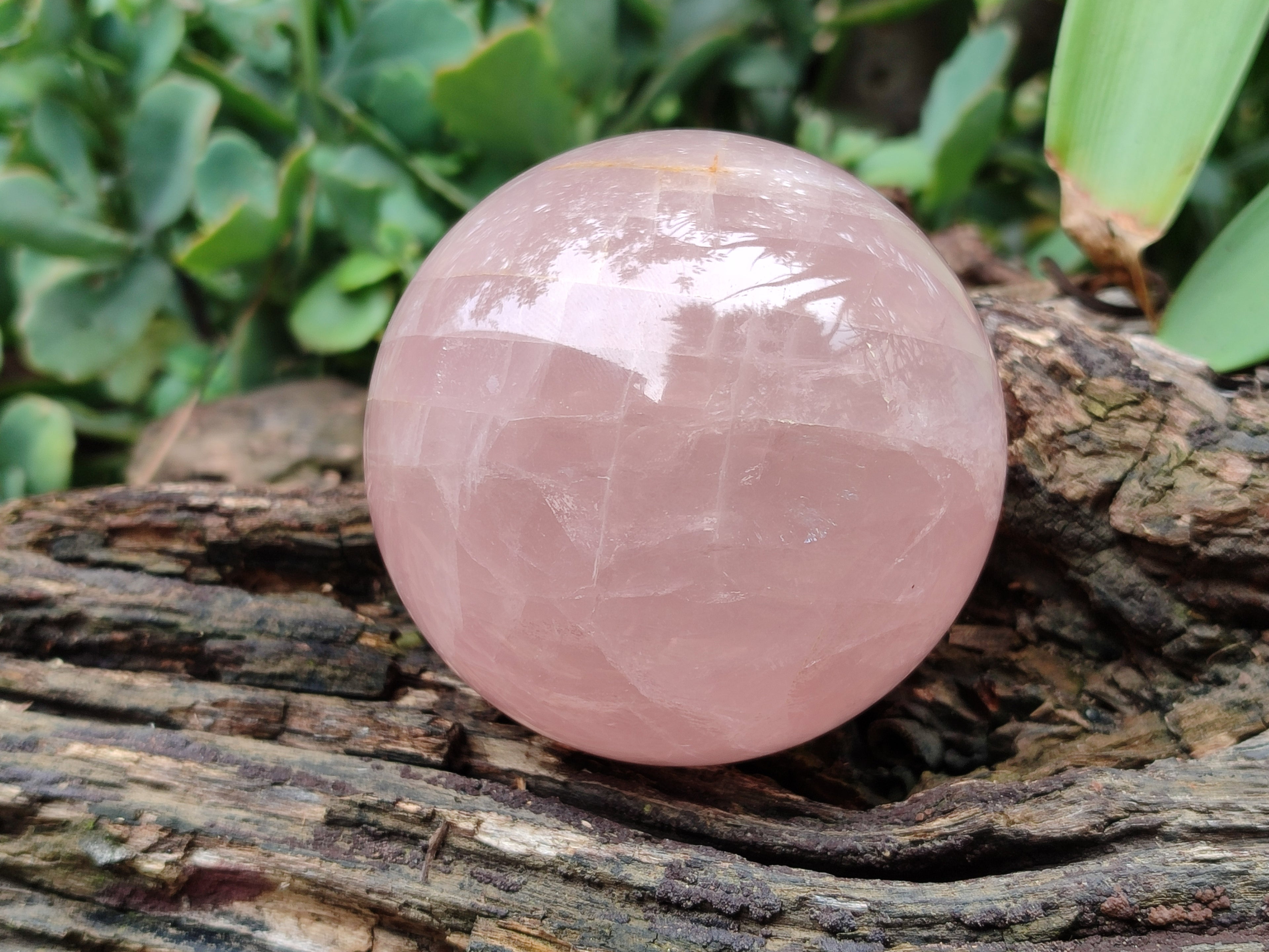 Polished Rose Quartz Spheres x 4 From Ambatondrazaka, Madagascar - Toprock Gemstones and Minerals 