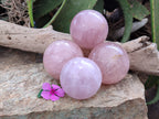 Polished Rose Quartz Spheres x 4 From Ambatondrazaka, Madagascar - Toprock Gemstones and Minerals 