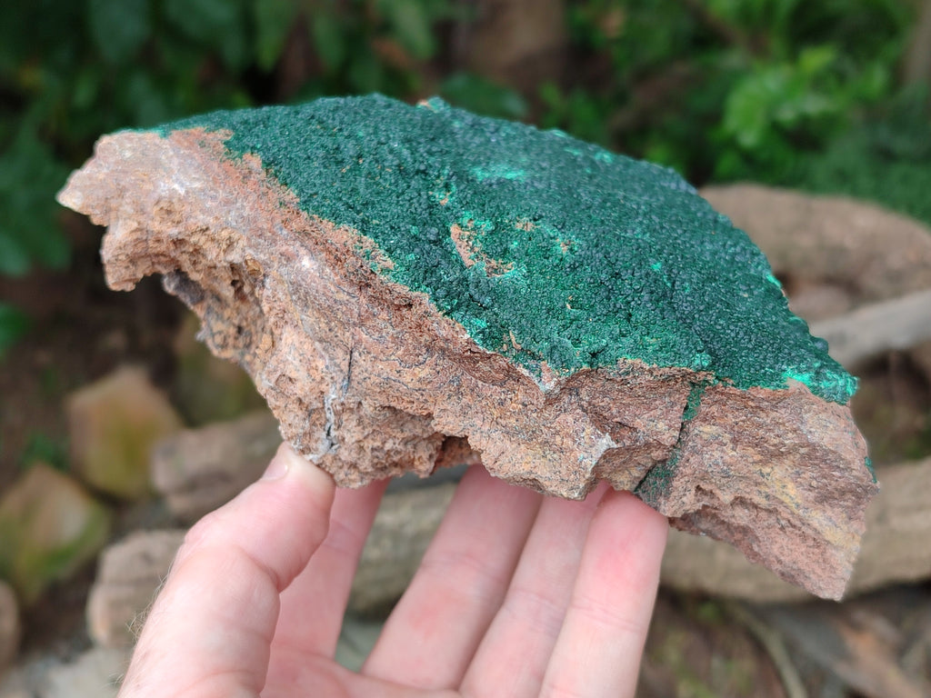 Natural Botryoidal Malachite Specimens x 2 From Tenke Fungurume, Congo - Toprock Gemstones and Minerals 