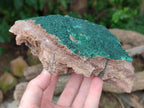 Natural Botryoidal Malachite Specimens x 2 From Tenke Fungurume, Congo - Toprock Gemstones and Minerals 