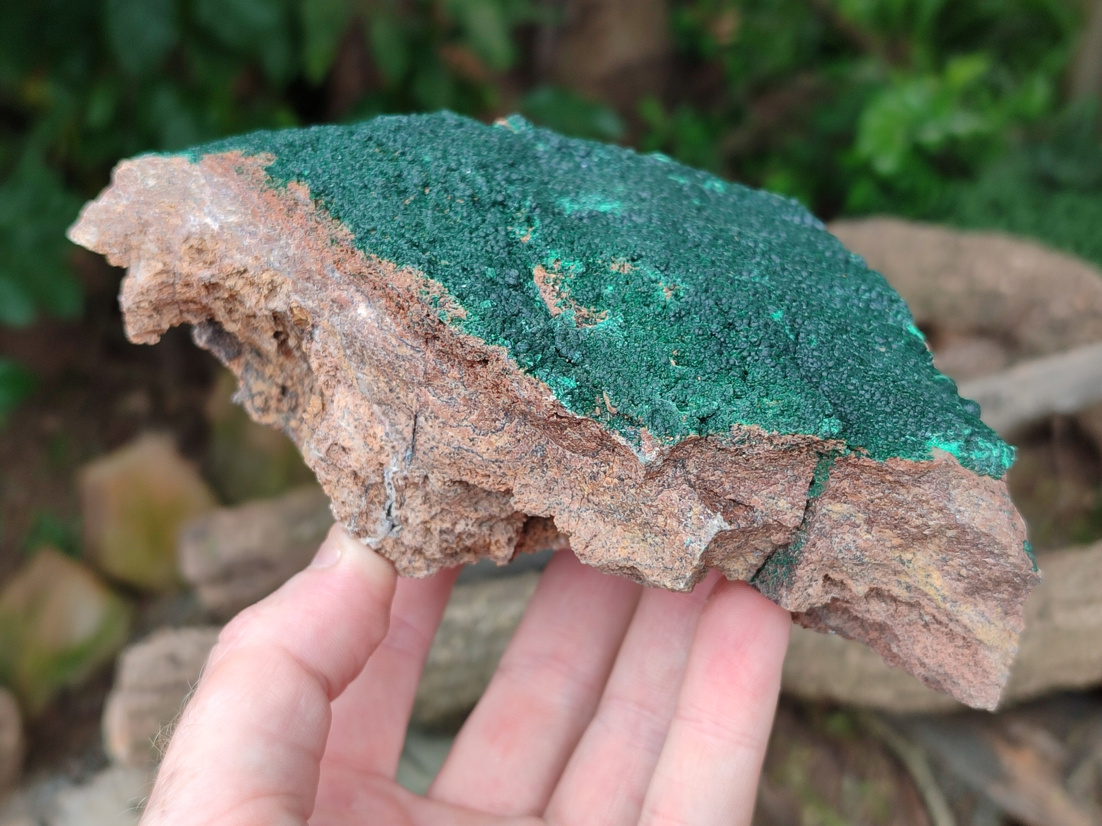 Natural Botryoidal Malachite Specimens x 2 From Tenke Fungurume, Congo - Toprock Gemstones and Minerals 