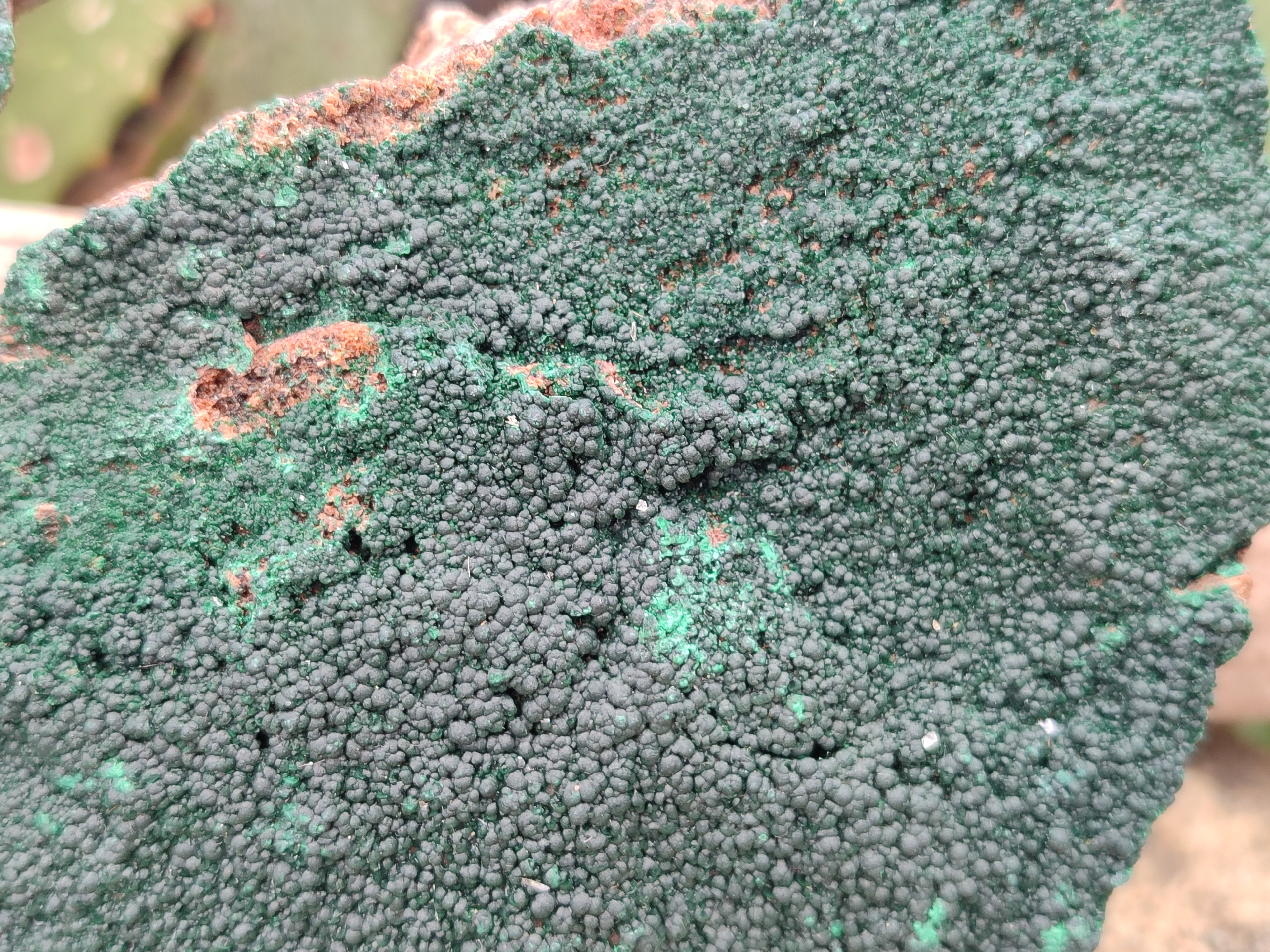 Natural Botryoidal Malachite Specimens x 2 From Tenke Fungurume, Congo - Toprock Gemstones and Minerals 