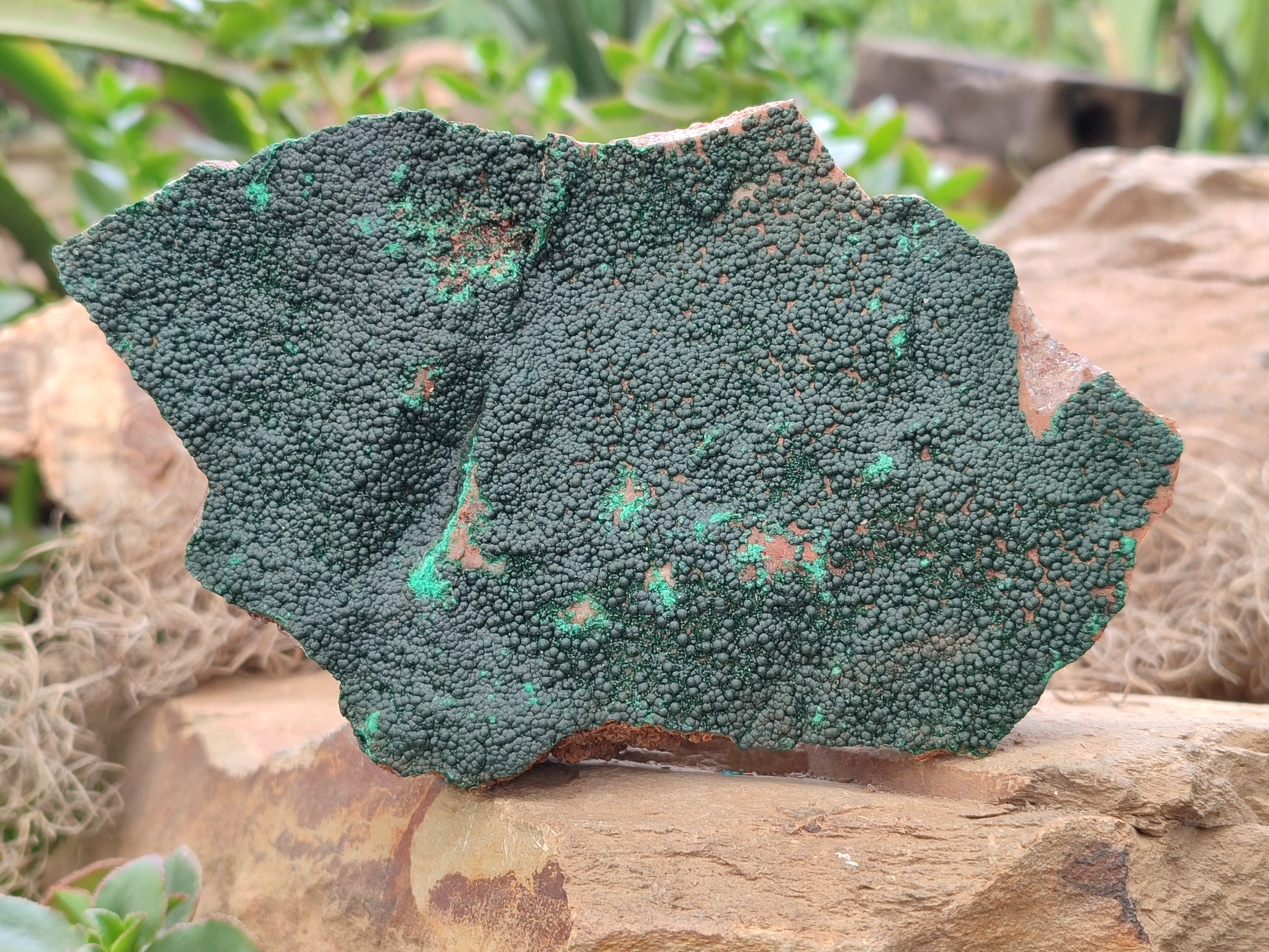 Natural Botryoidal Malachite Specimens x 2 From Tenke Fungurume, Congo - Toprock Gemstones and Minerals 