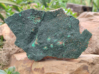 Natural Botryoidal Malachite Specimens x 2 From Tenke Fungurume, Congo - Toprock Gemstones and Minerals 