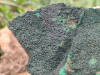 Natural Botryoidal Malachite Specimens x 2 From Tenke Fungurume, Congo - Toprock Gemstones and Minerals 