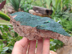 Natural Botryoidal Malachite Specimens x 2 From Tenke Fungurume, Congo - Toprock Gemstones and Minerals 