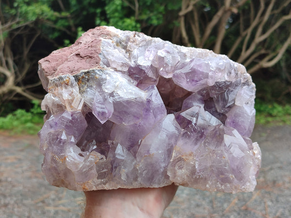 Natural Large Jacaranda Amethyst Quartz Geode x 1 From Mumbwa, Zambia