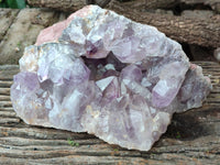Natural Large Jacaranda Amethyst Quartz Geode x 1 From Mumbwa, Zambia