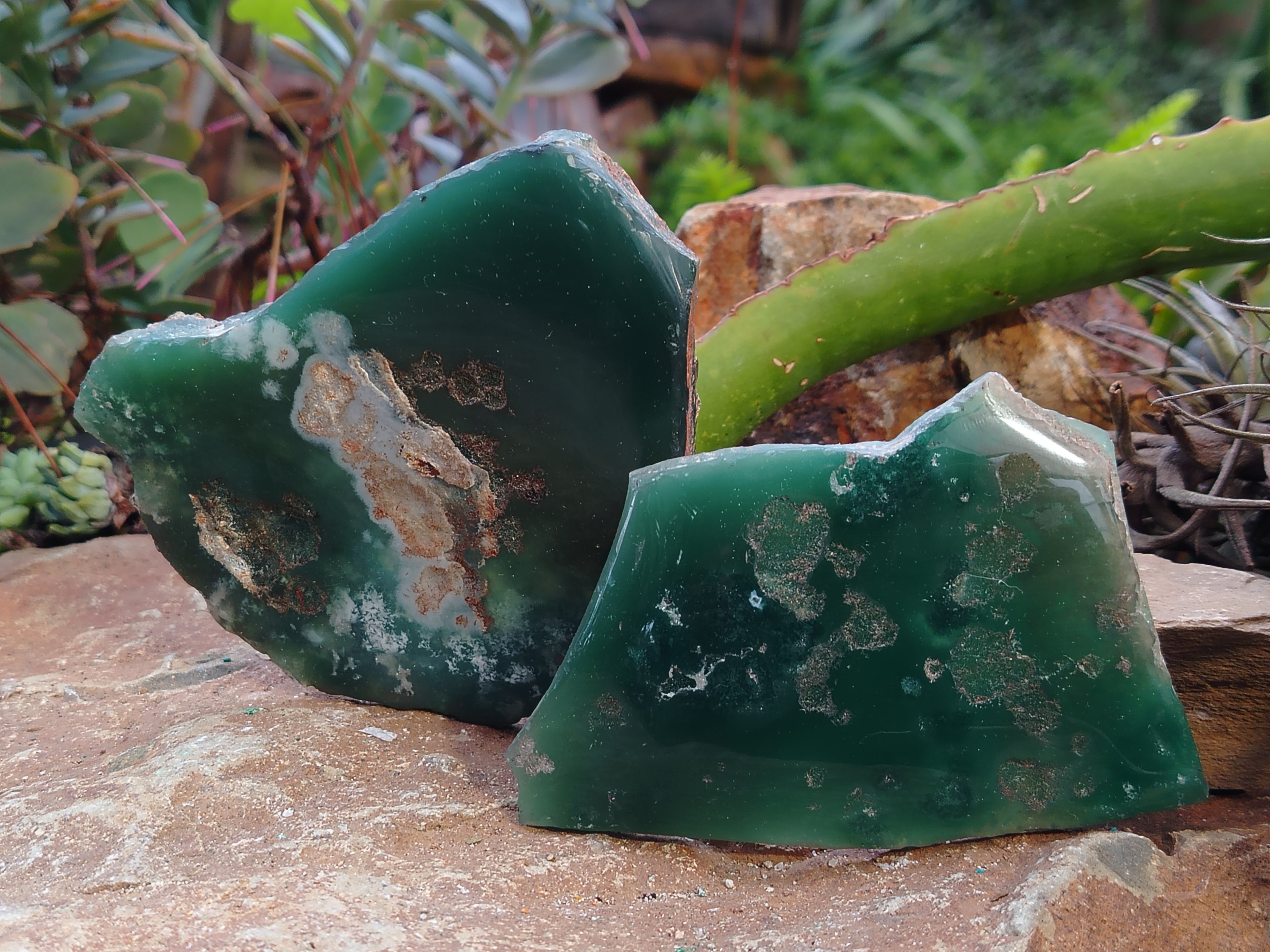 Polished on One Side Emerald Mtorolite Free Forms x 6 From Zimbabwe - Toprock Gemstones and Minerals 