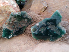 Polished on One Side Emerald Mtorolite Free Forms x 6 From Zimbabwe - Toprock Gemstones and Minerals 