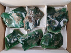 Polished on One Side Emerald Mtorolite Free Forms x 6 From Zimbabwe - Toprock Gemstones and Minerals 