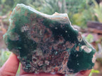 Polished on One Side Emerald Mtorolite Free Forms x 6 From Zimbabwe - Toprock Gemstones and Minerals 