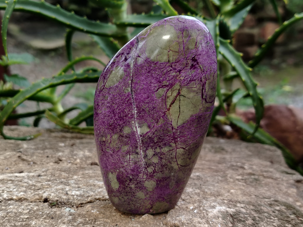 Polished Stichtite Standing Free Forms x 3 From Barberton, South Africa - Toprock Gemstones and Minerals 