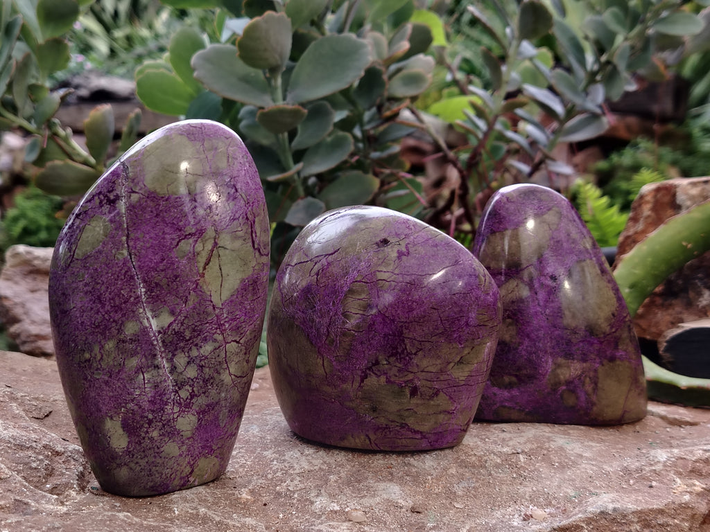 Polished Stichtite Standing Free Forms x 3 From Barberton, South Africa - Toprock Gemstones and Minerals 