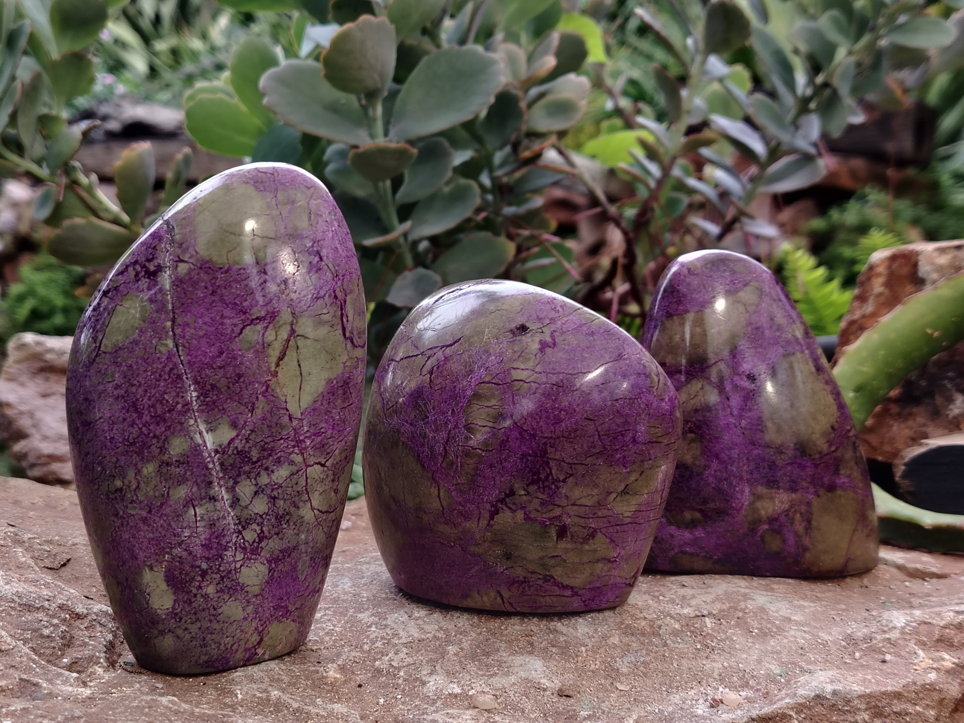 Polished Stichtite Standing Free Forms x 3 From Barberton, South Africa - Toprock Gemstones and Minerals 