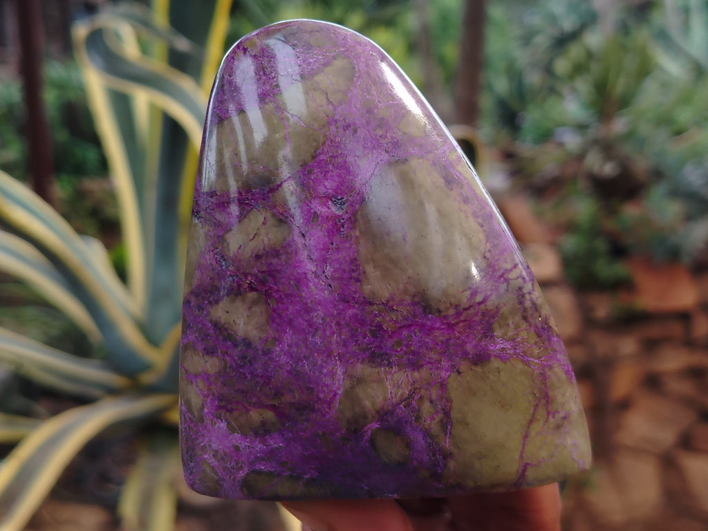 Polished Stichtite Standing Free Forms x 3 From Barberton, South Africa - Toprock Gemstones and Minerals 