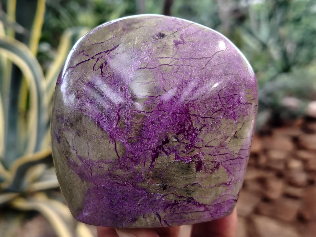 Polished Stichtite Standing Free Forms x 3 From Barberton, South Africa - Toprock Gemstones and Minerals 