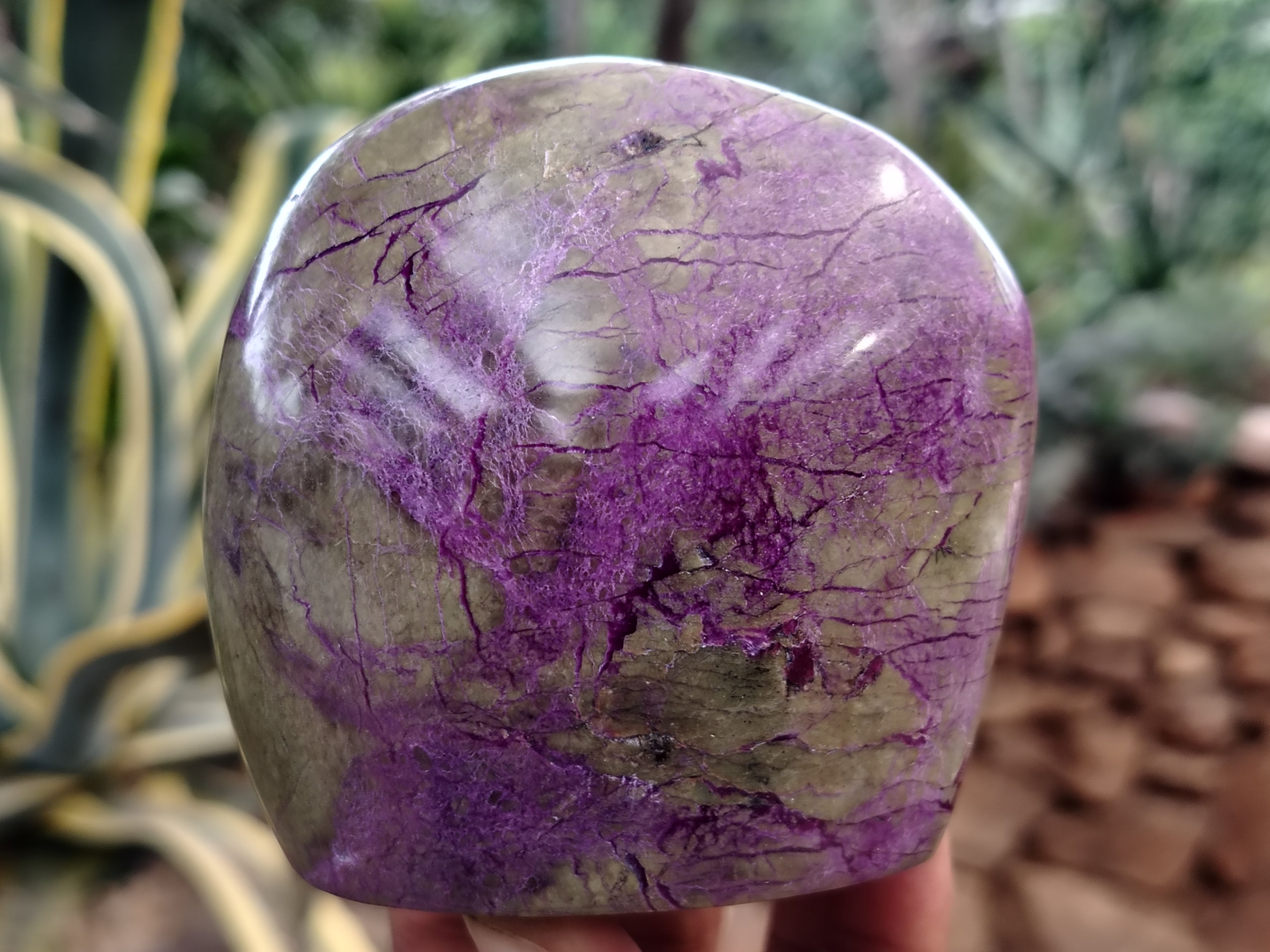 Polished Stichtite Standing Free Forms x 3 From Barberton, South Africa - Toprock Gemstones and Minerals 