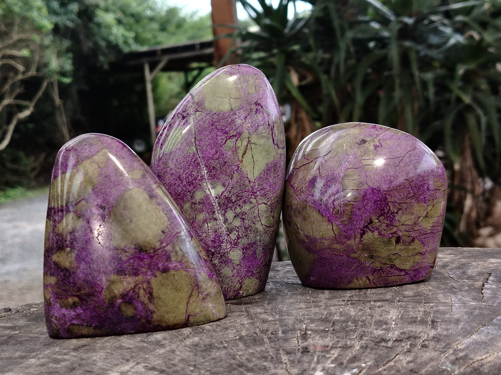 Polished Stichtite Standing Free Forms x 3 From Barberton, South Africa - Toprock Gemstones and Minerals 