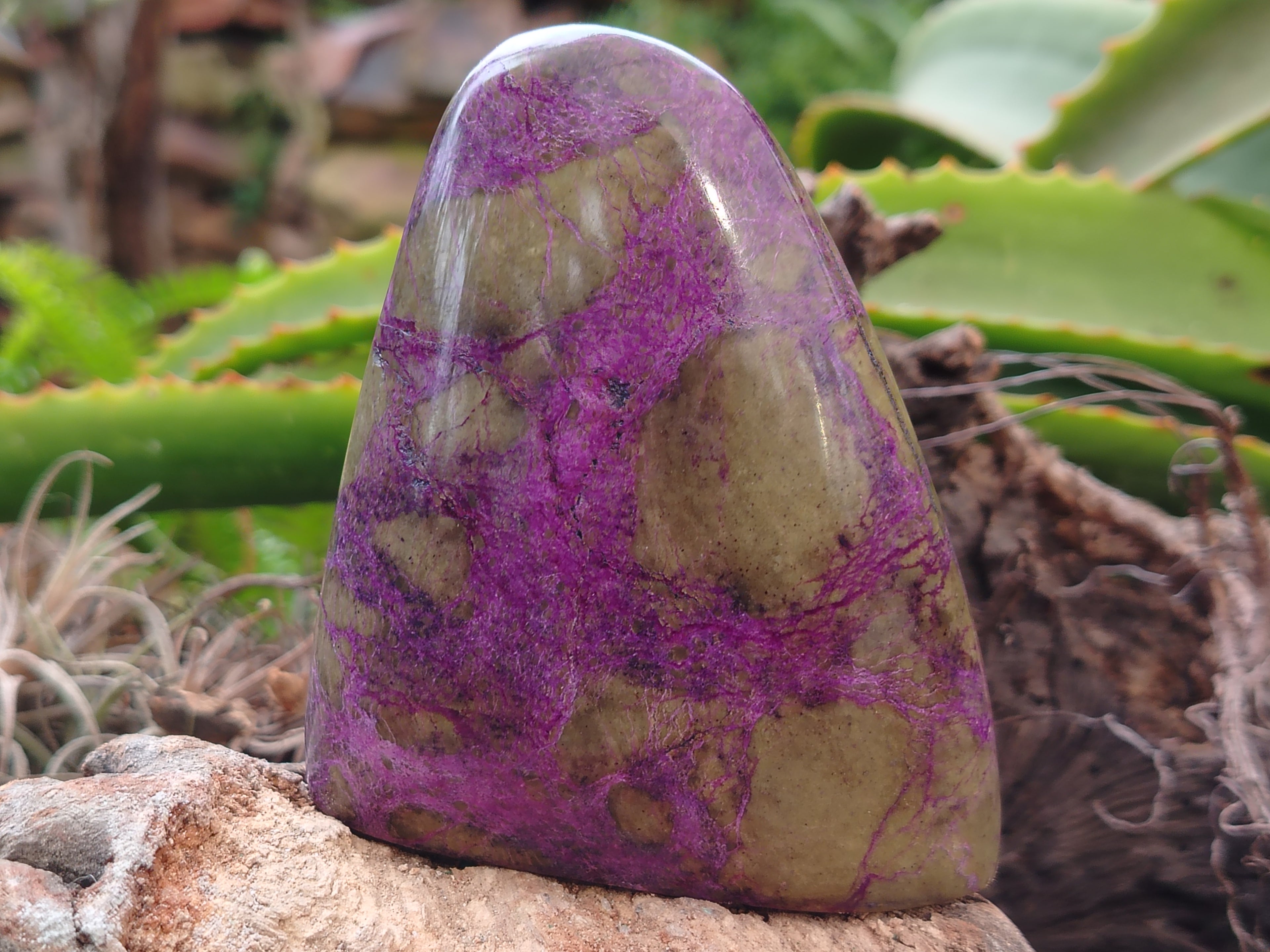 Polished Stichtite Standing Free Forms x 3 From Barberton, South Africa - Toprock Gemstones and Minerals 