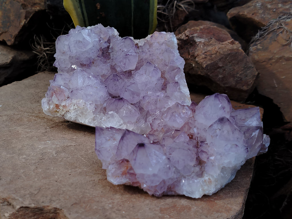 Natural Dark Amethyst Spirit Quartz Clusters x 2 From Boekenhouthoek, South Africa - Toprock Gemstones and Minerals 