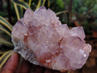 Natural Dark Amethyst Spirit Quartz Clusters x 2 From Boekenhouthoek, South Africa - Toprock Gemstones and Minerals 