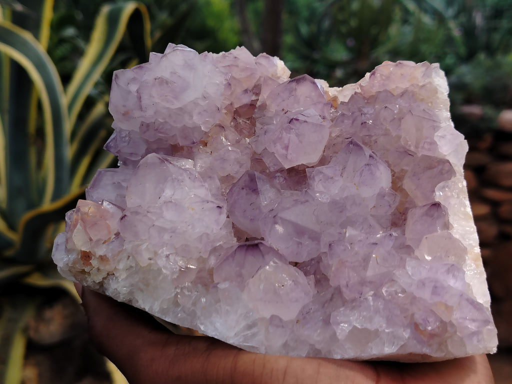 Natural Dark Amethyst Spirit Quartz Clusters x 2 From Boekenhouthoek, South Africa - Toprock Gemstones and Minerals 