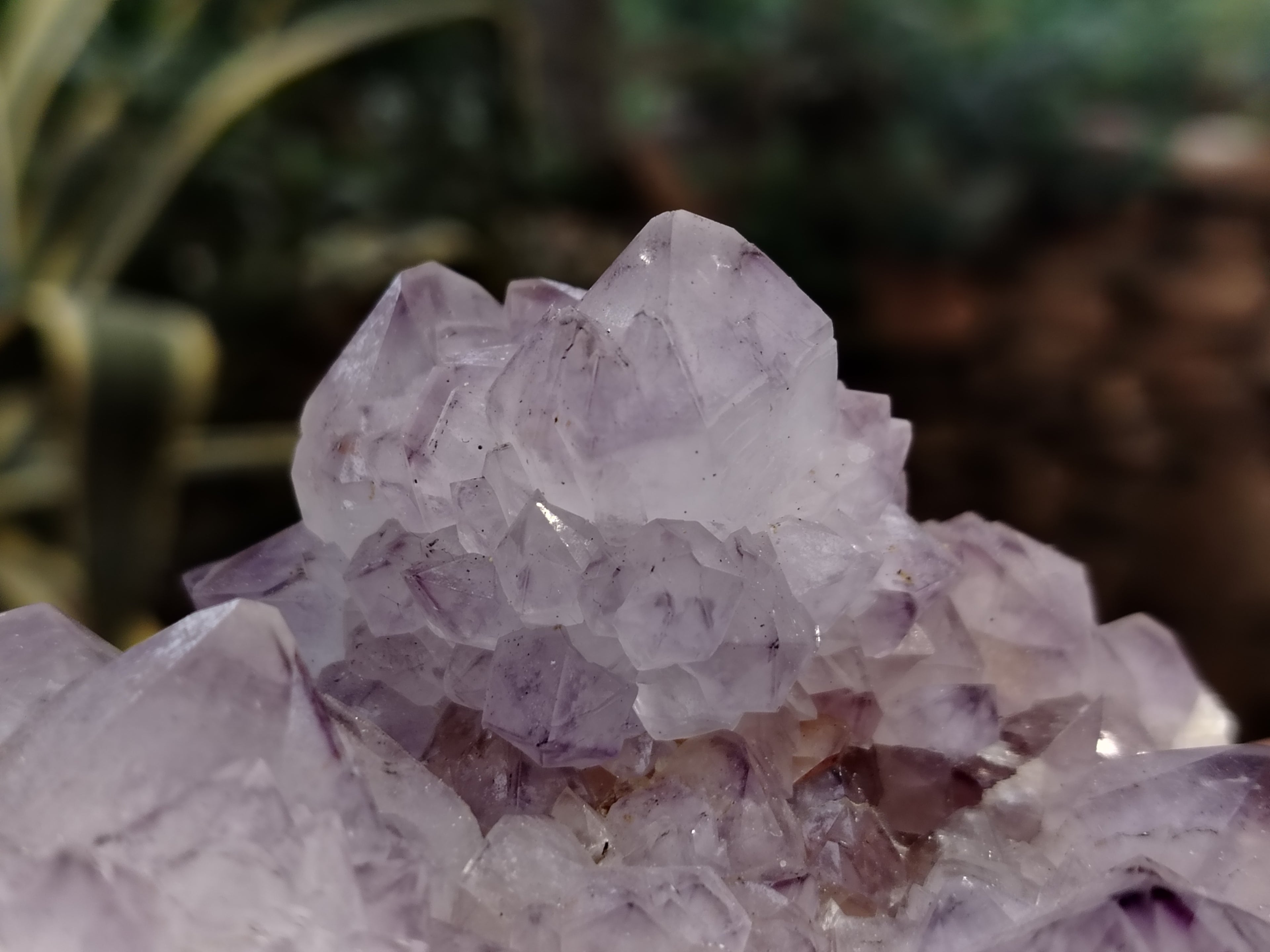 Natural Dark Amethyst Spirit Quartz Clusters x 2 From Boekenhouthoek, South Africa - Toprock Gemstones and Minerals 