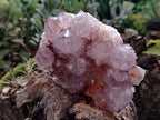Natural Dark Amethyst Spirit Quartz Clusters x 2 From Boekenhouthoek, South Africa - Toprock Gemstones and Minerals 