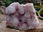 Natural Dark Amethyst Spirit Quartz Clusters x 2 From Boekenhouthoek, South Africa - Toprock Gemstones and Minerals 