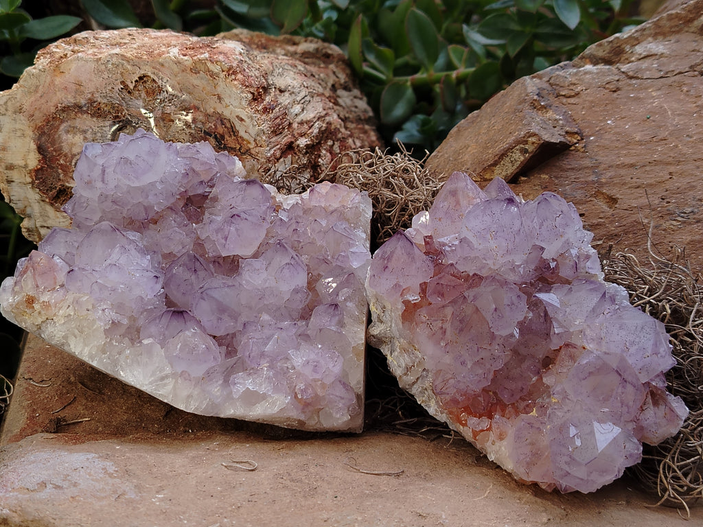 Natural Dark Amethyst Spirit Quartz Clusters x 2 From Boekenhouthoek, South Africa - Toprock Gemstones and Minerals 