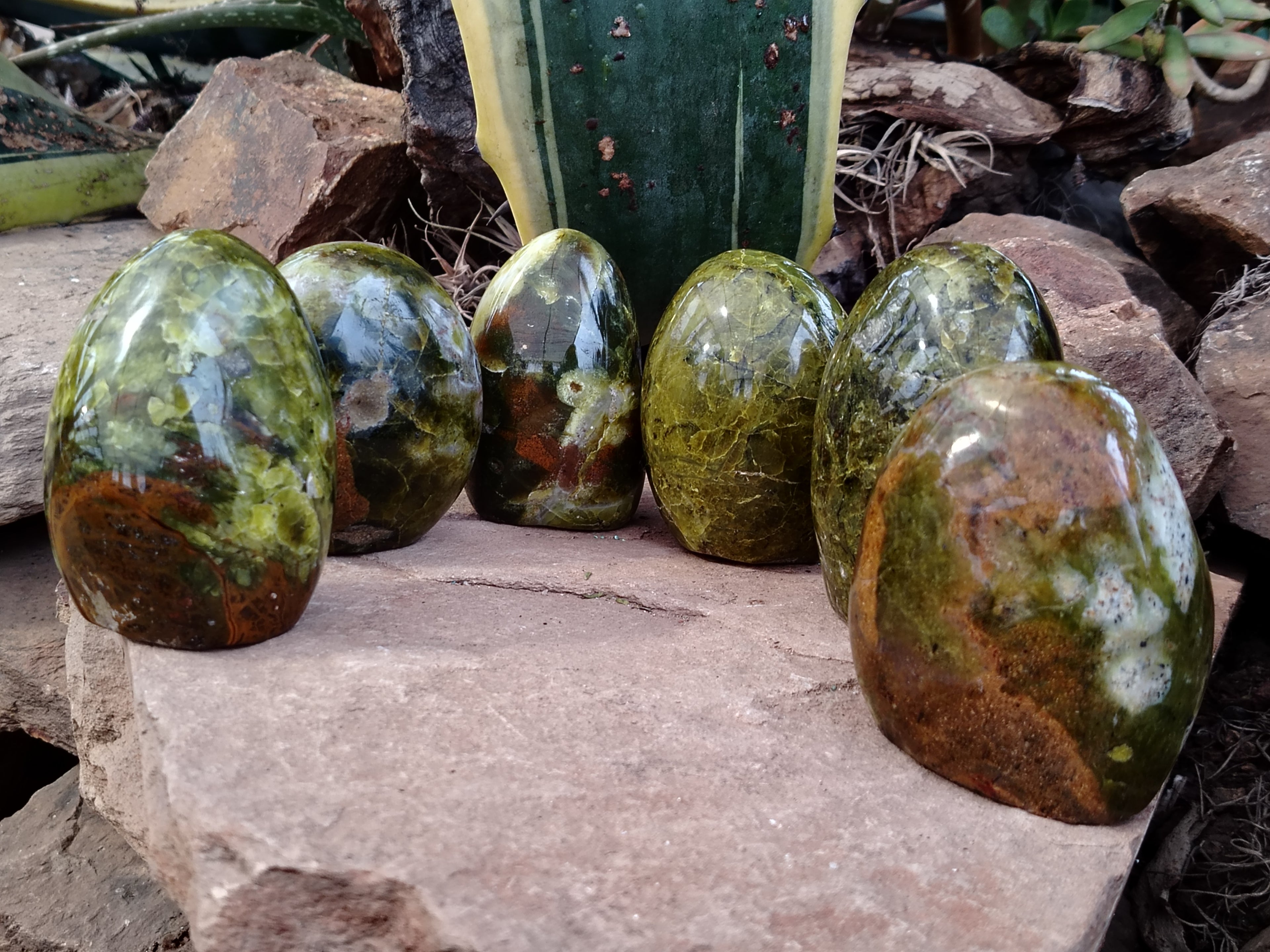 Polished Green Opal Standing Free Forms x 6 From Antsirabe, Madagascar - Toprock Gemstones and Minerals 