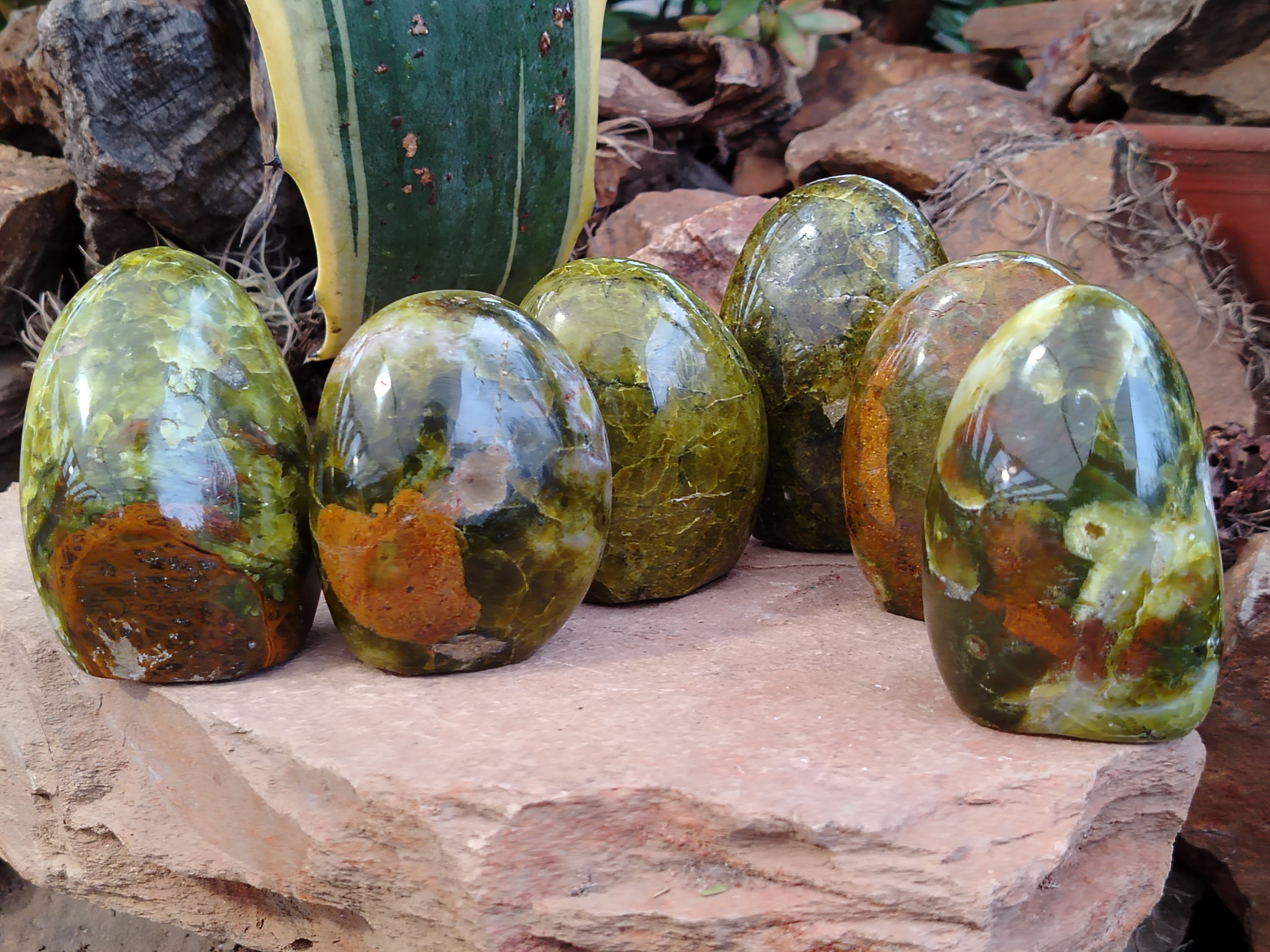 Polished Green Opal Standing Free Forms x 6 From Antsirabe, Madagascar - Toprock Gemstones and Minerals 