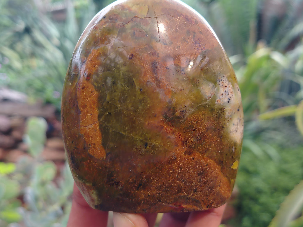 Polished Green Opal Standing Free Forms x 6 From Antsirabe, Madagascar - Toprock Gemstones and Minerals 