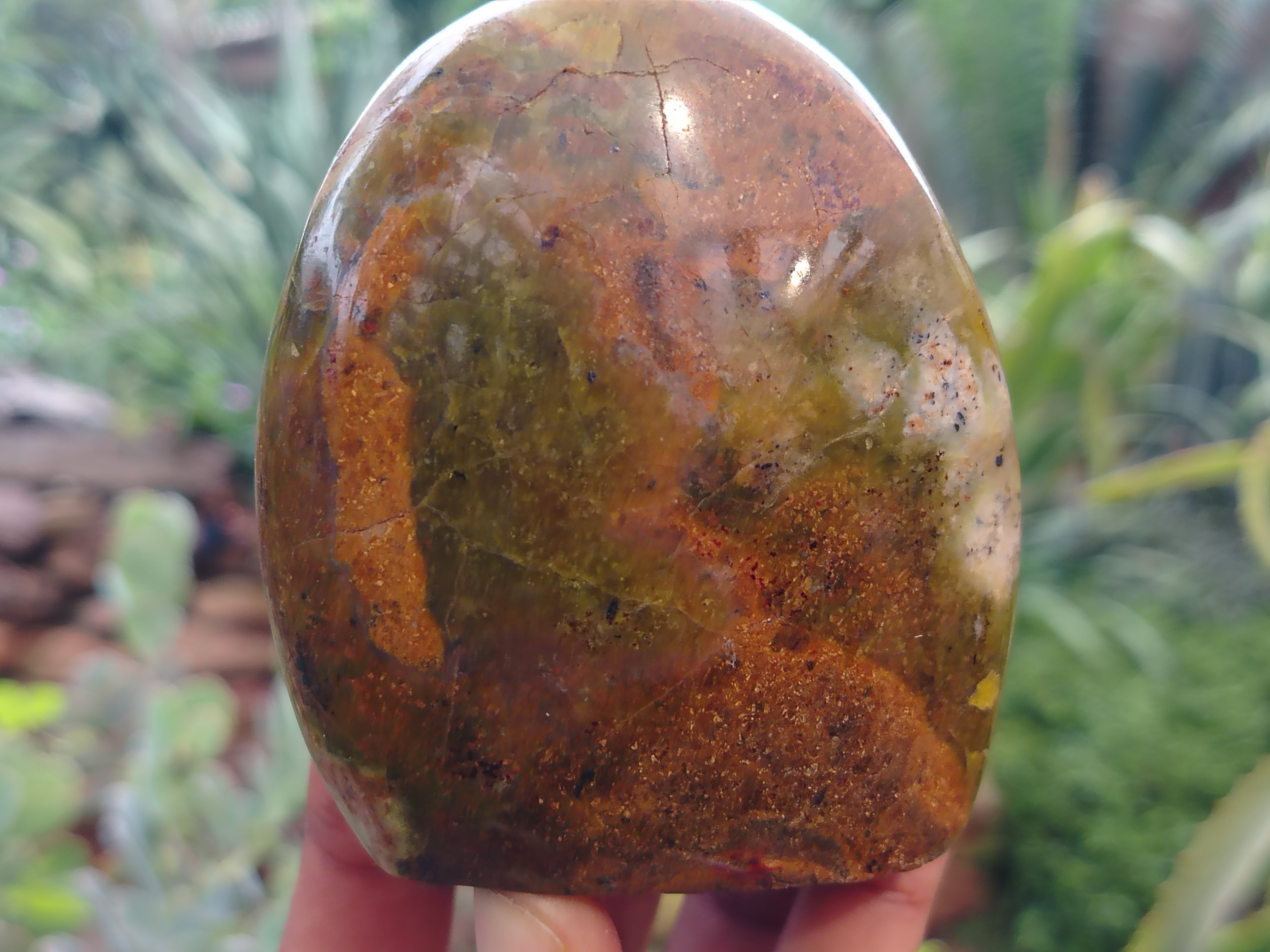 Polished Green Opal Standing Free Forms x 6 From Antsirabe, Madagascar - Toprock Gemstones and Minerals 