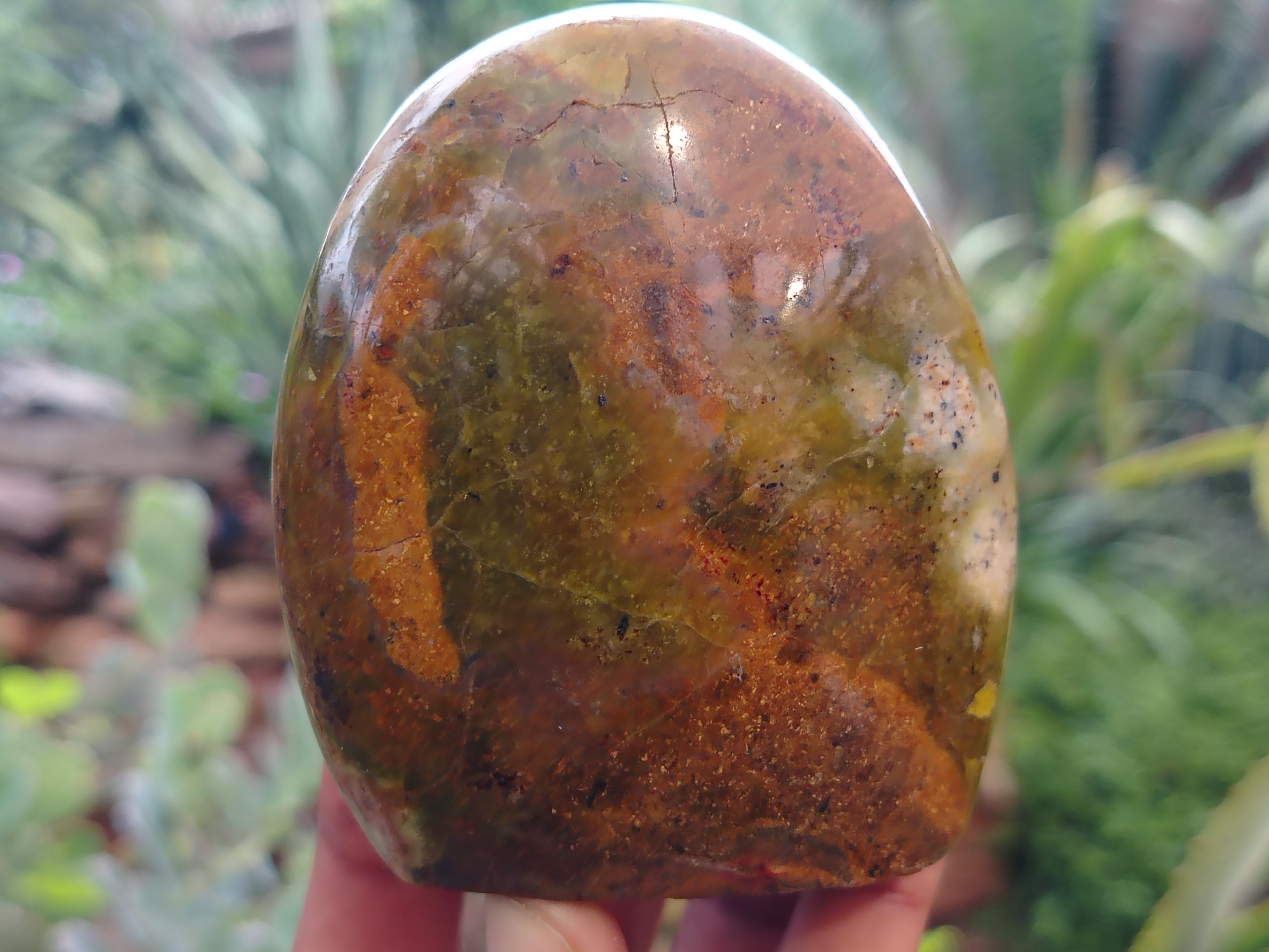 Polished Green Opal Standing Free Forms x 6 From Antsirabe, Madagascar - Toprock Gemstones and Minerals 