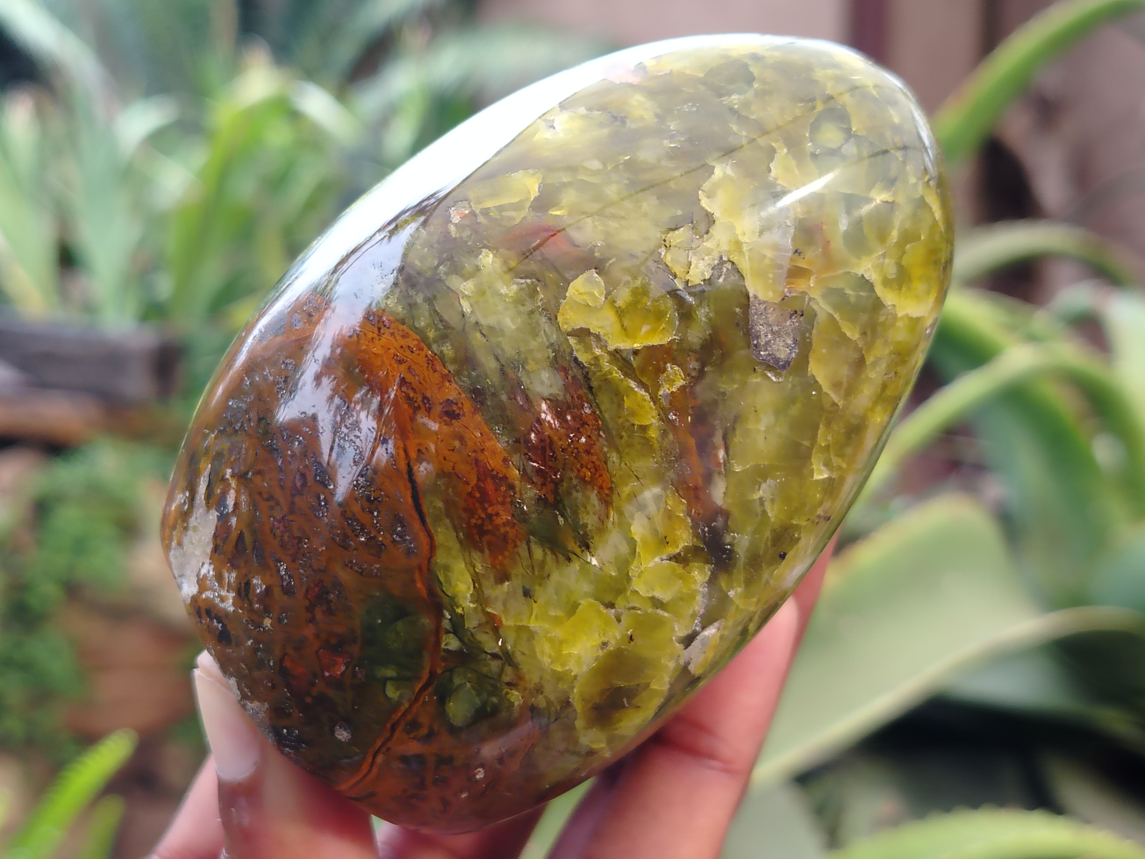 Polished Green Opal Standing Free Forms x 6 From Antsirabe, Madagascar - Toprock Gemstones and Minerals 