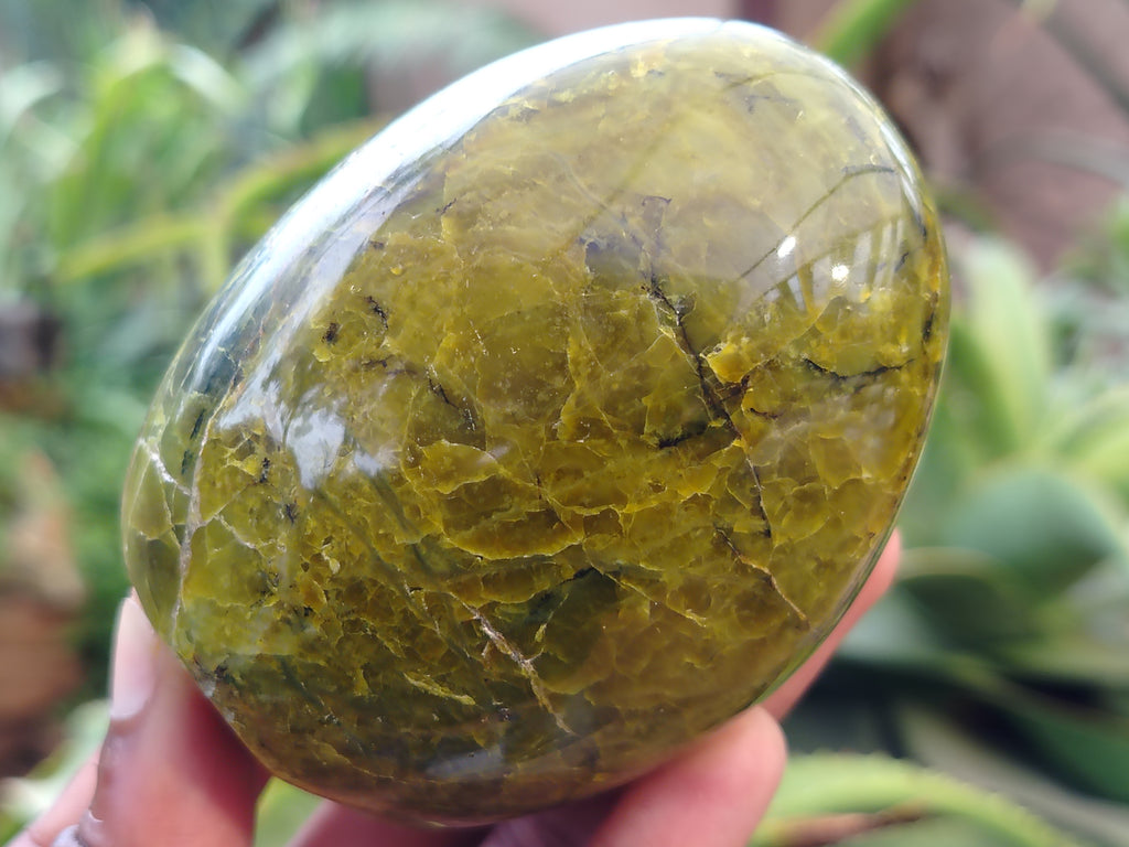 Polished Green Opal Standing Free Forms x 6 From Antsirabe, Madagascar - Toprock Gemstones and Minerals 