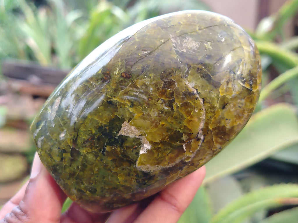 Polished Green Opal Standing Free Forms x 6 From Antsirabe, Madagascar - Toprock Gemstones and Minerals 