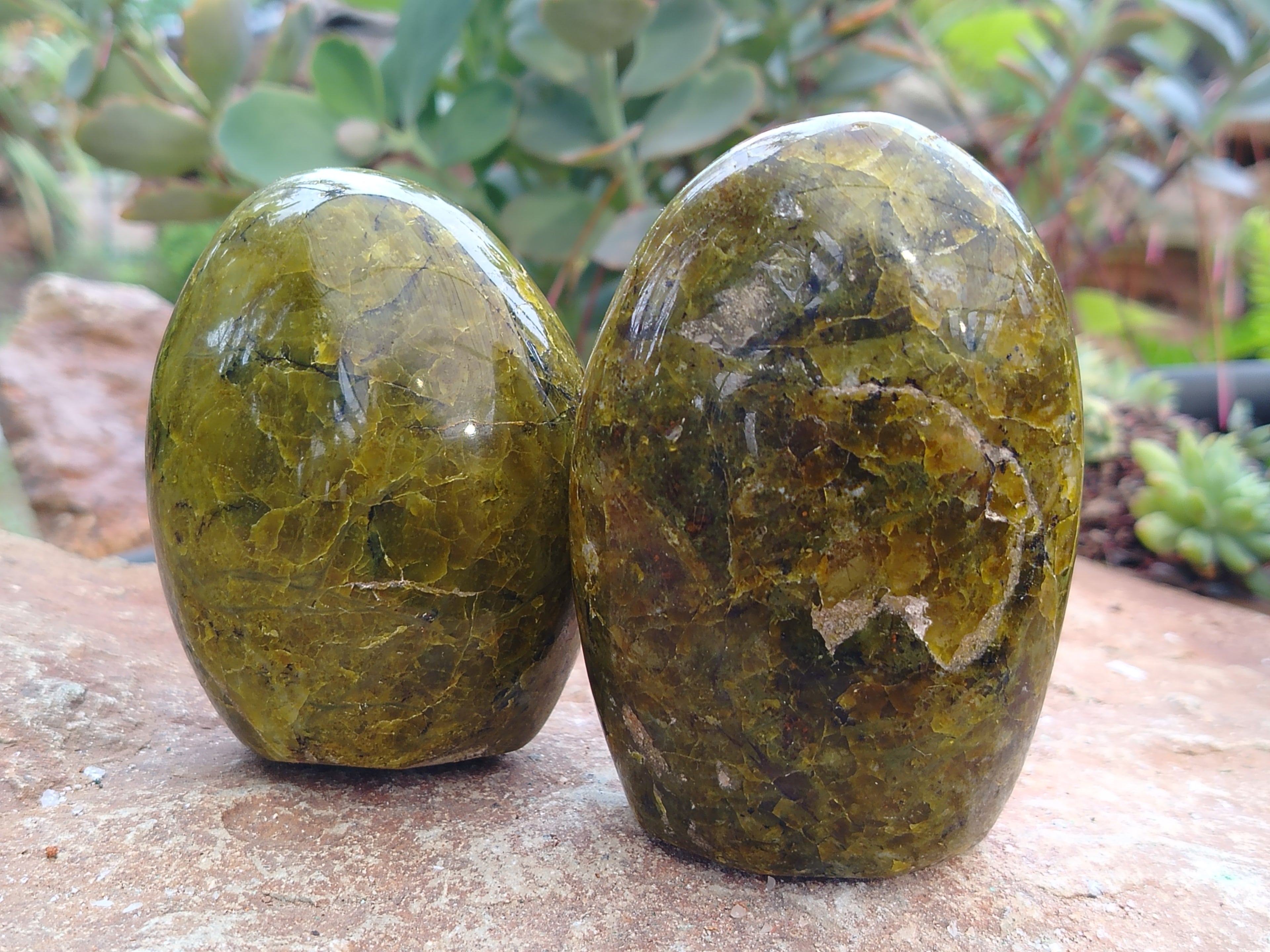 Polished Green Opal Standing Free Forms x 6 From Antsirabe, Madagascar - Toprock Gemstones and Minerals 
