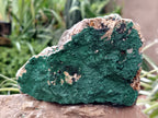Natural Botryoidal Malachite Specimens x 4 From Tenke Fungurume, Congo - Toprock Gemstones and Minerals 