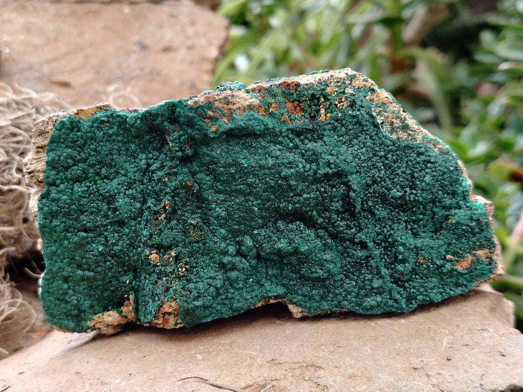 Natural Botryoidal Malachite Specimens x 4 From Tenke Fungurume, Congo - Toprock Gemstones and Minerals 