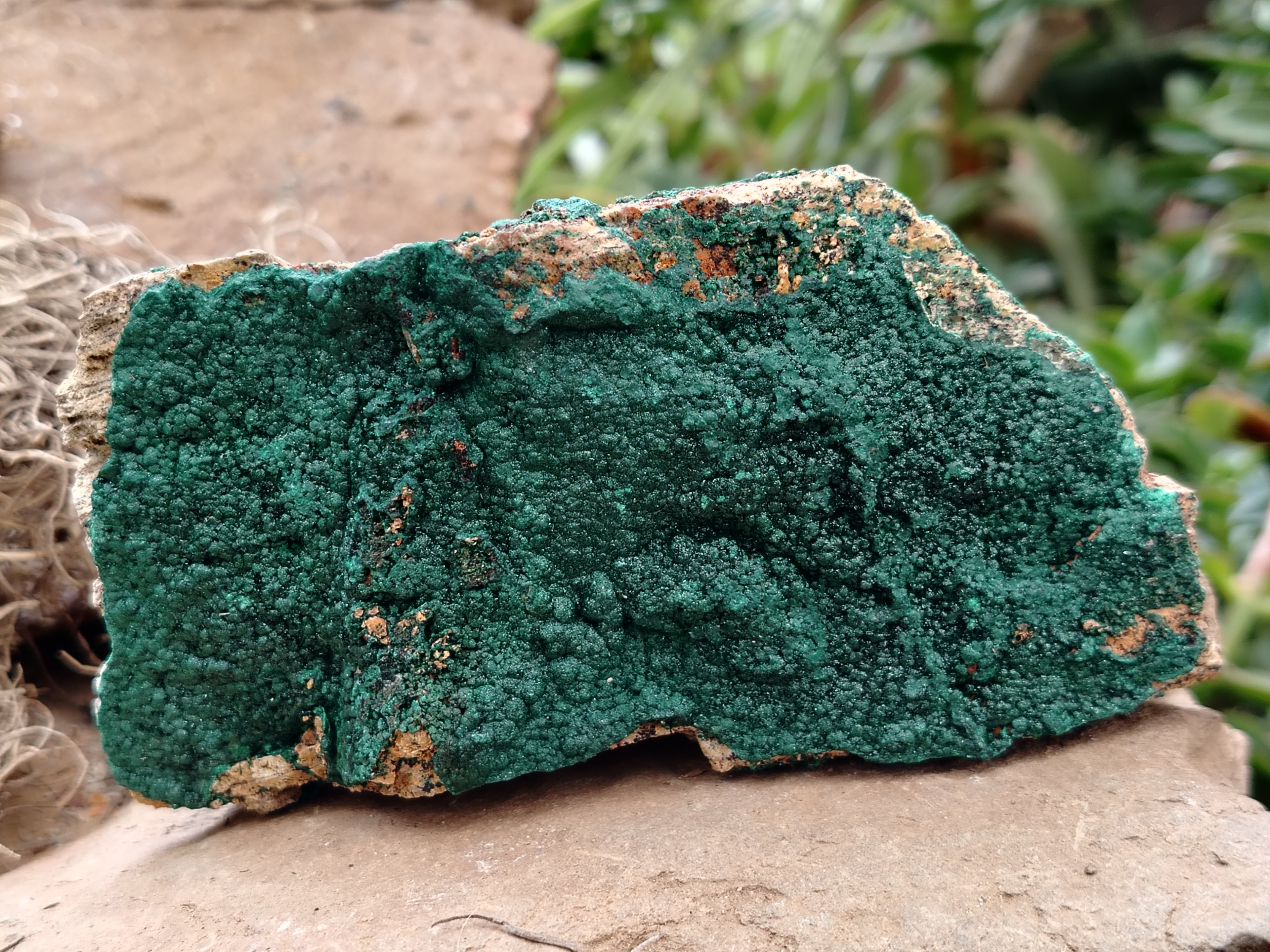 Natural Botryoidal Malachite Specimens x 4 From Tenke Fungurume, Congo - Toprock Gemstones and Minerals 